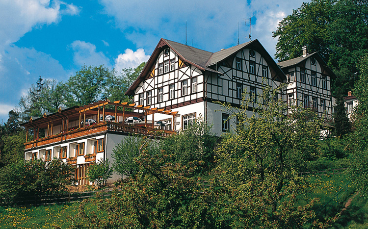 Panoramahotel Wolfsberg (Reinhardtsdorf)